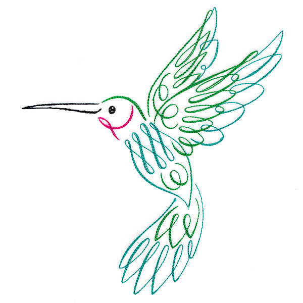 Calligraphic Hummingbird