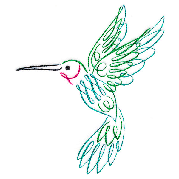 Calligraphic Hummingbird
