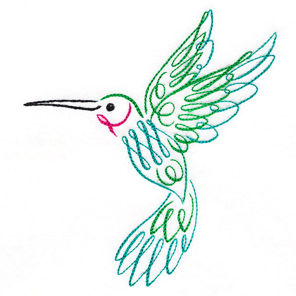 Calligraphic Hummingbird