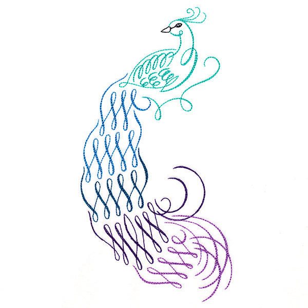 Calligraphic Peacock