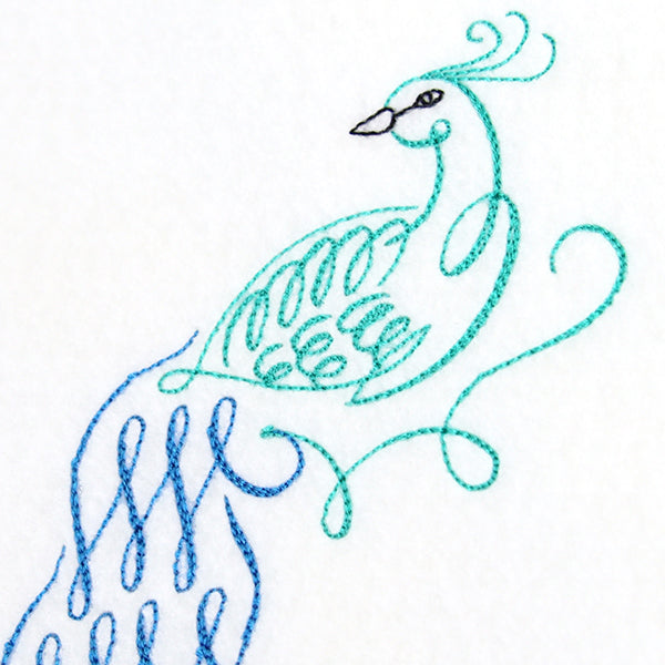 Calligraphic Peacock