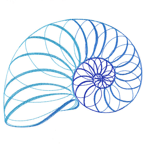 Calligraphic Seashell