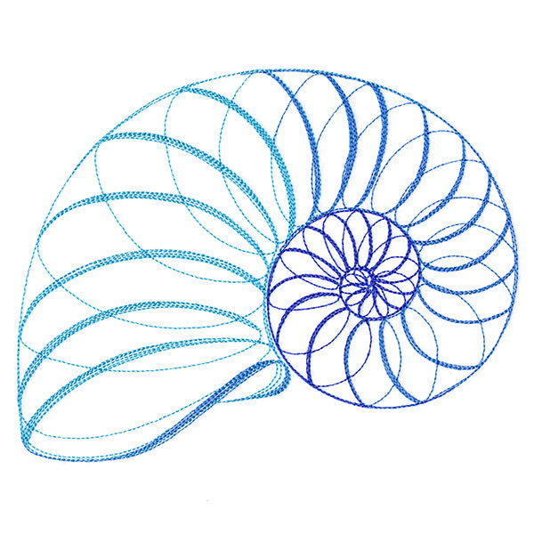 Calligraphic Seashell