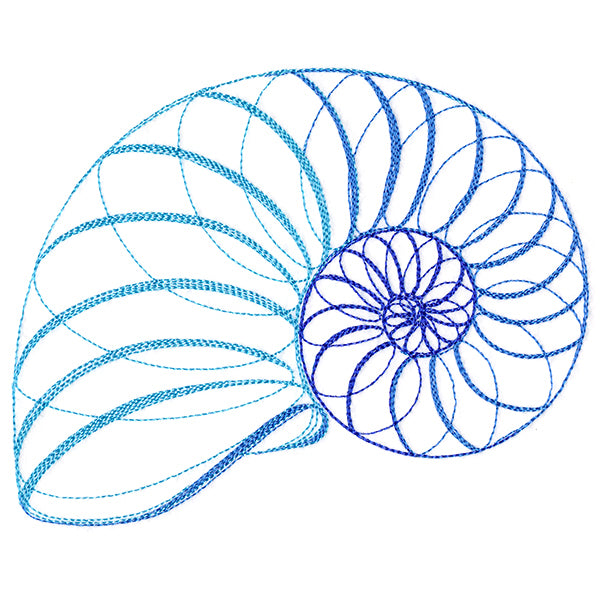 Calligraphic Seashell