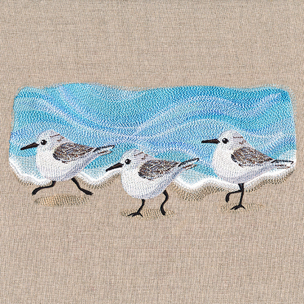 Oceanside Sandpiper Border