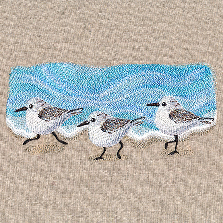 Oceanside Sandpiper Border