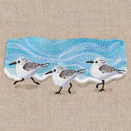 Oceanside Sandpiper Border