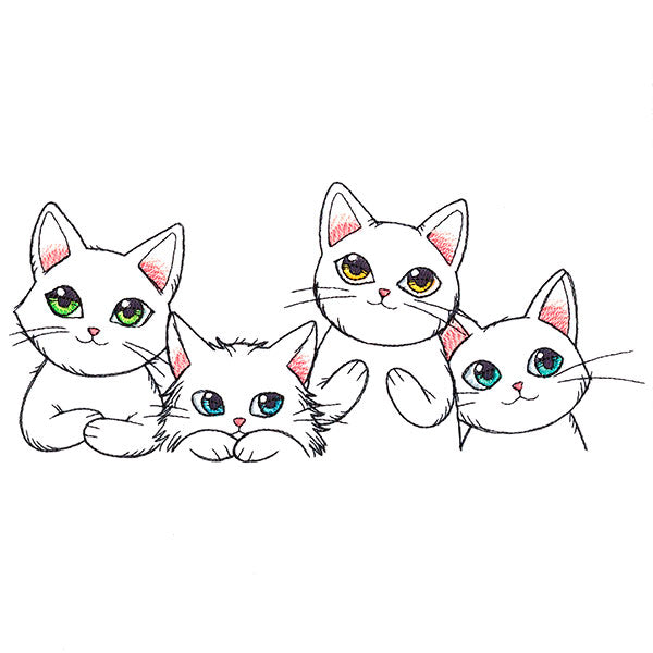 Precious Kitty Border