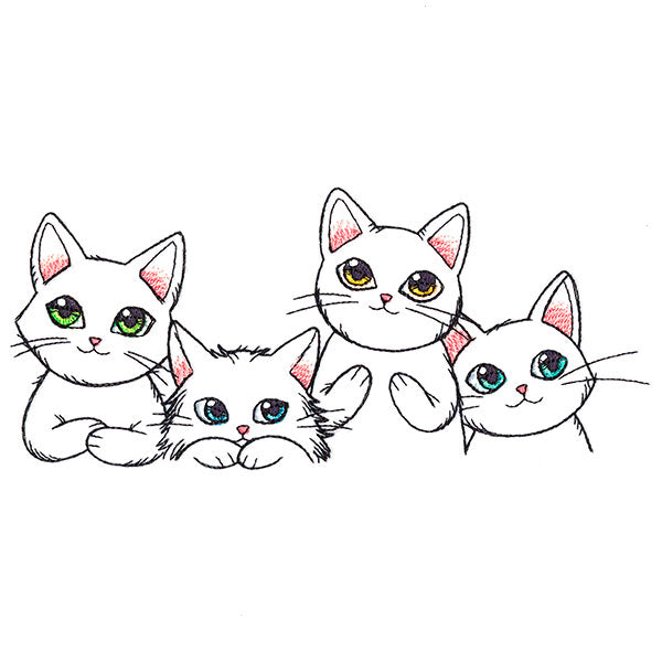 Precious Kitty Border