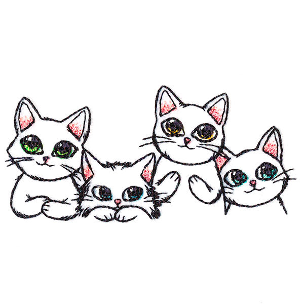 Precious Kitty Border