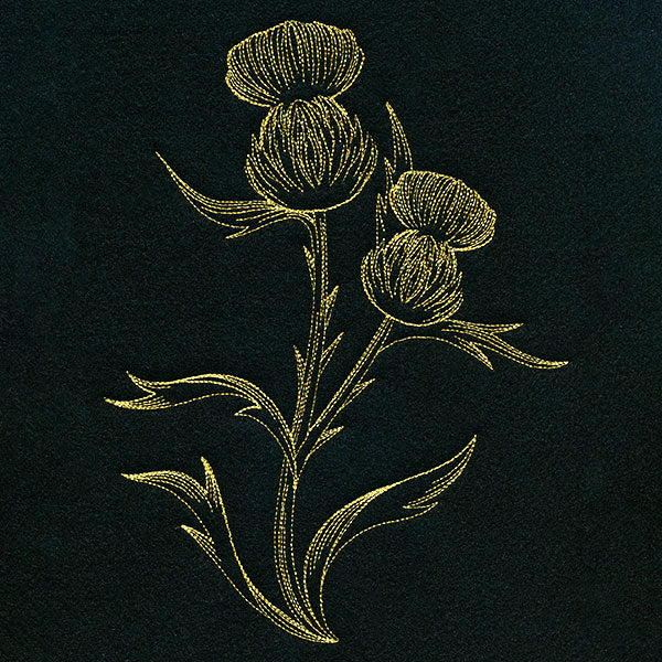 Golden Thistle