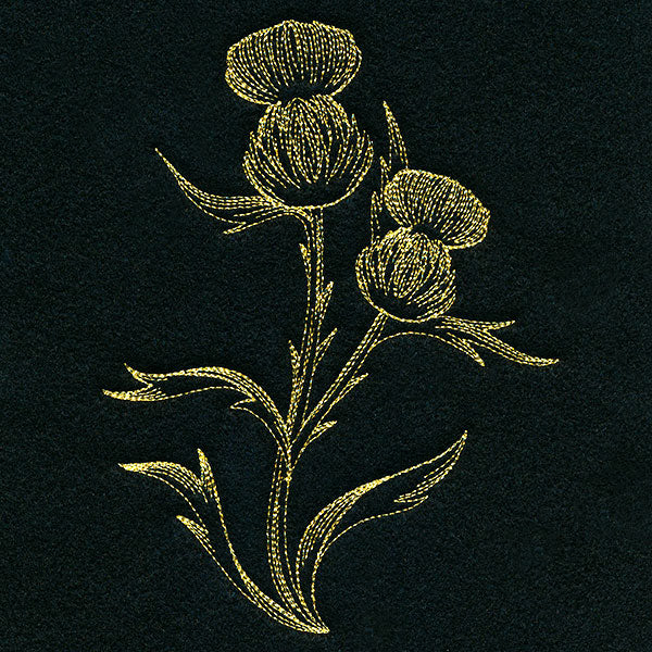 Golden Thistle