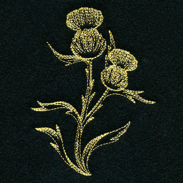 Golden Thistle