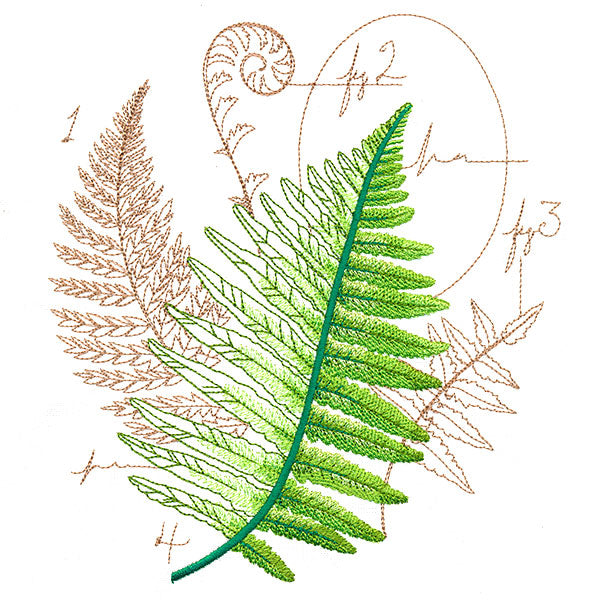Scientific Fern Collage