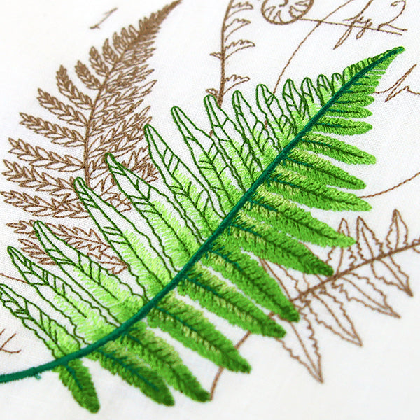 Scientific Fern Collage