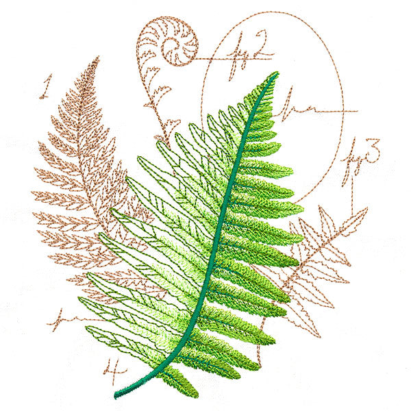 Scientific Fern Collage