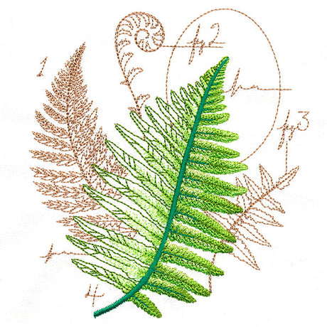 Scientific Fern Collage