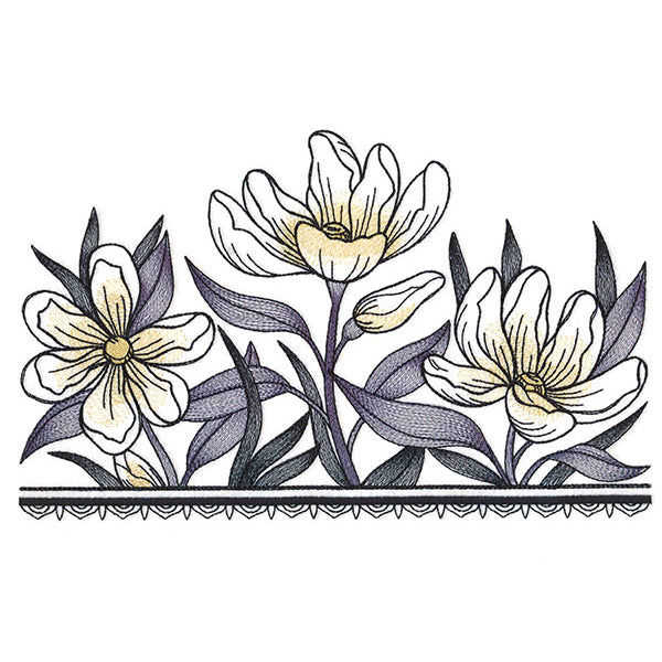 Wild Magnolia Border