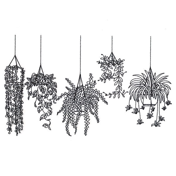 Hanging Houseplants Border