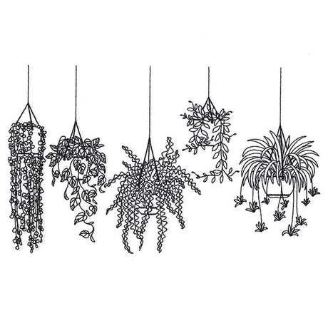 Hanging Houseplants Border