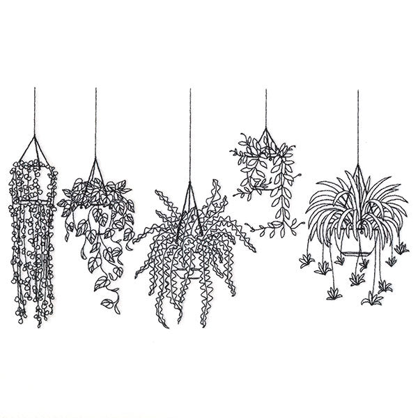 Hanging Houseplants Border