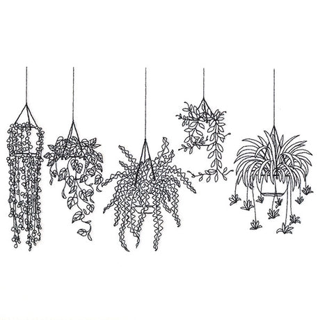 Hanging Houseplants Border