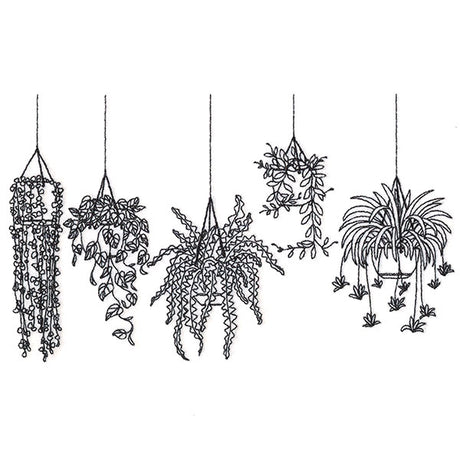 Hanging Houseplants Border