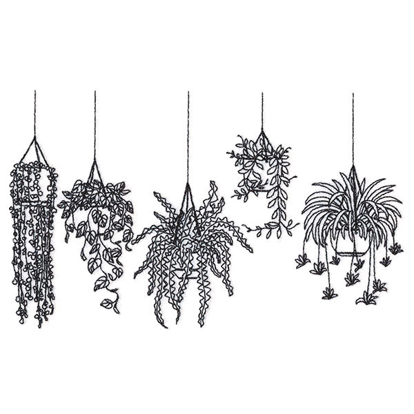 Hanging Houseplants Border