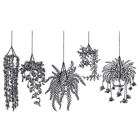 Hanging Houseplants Border