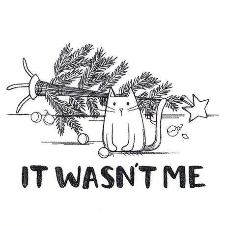 It Wasn't Me Kitty