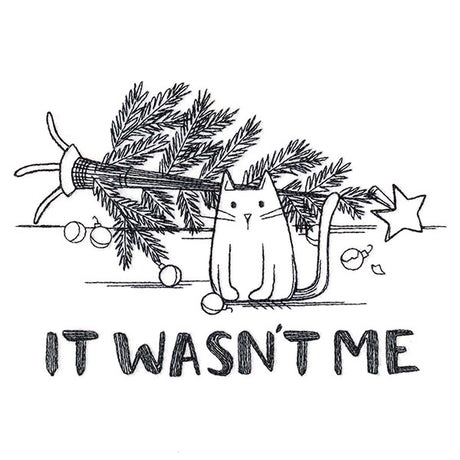 It Wasn't Me Kitty