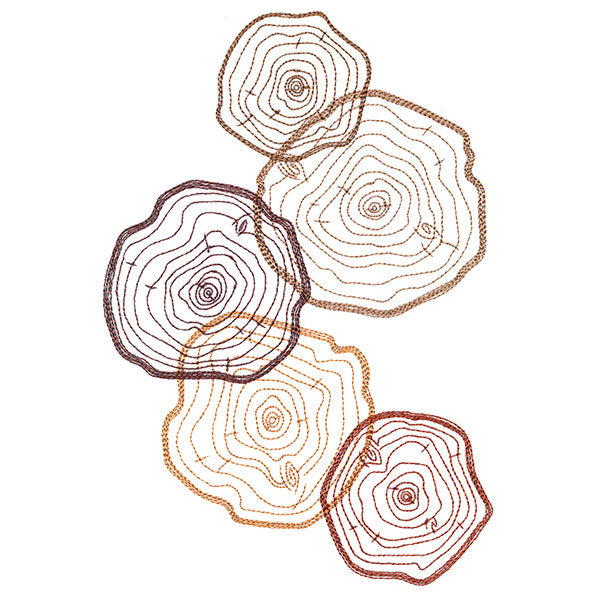 Tree Rings Collage