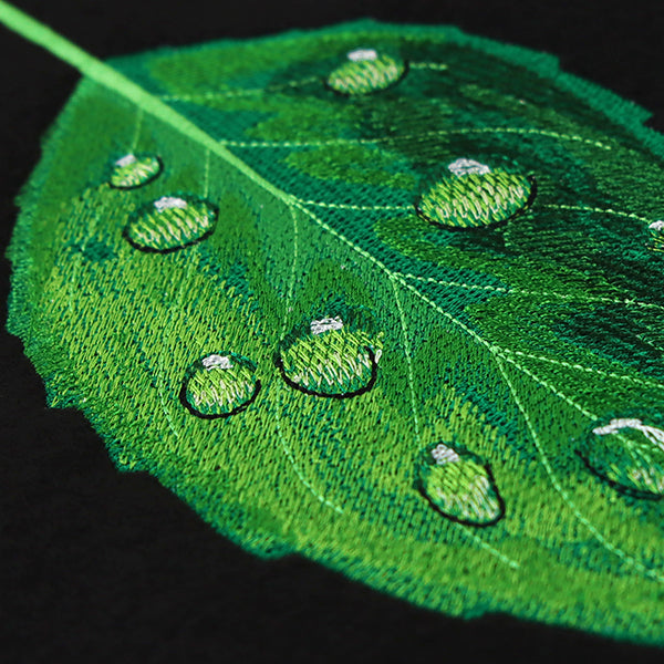 Early Morning Dew Drops Leaf