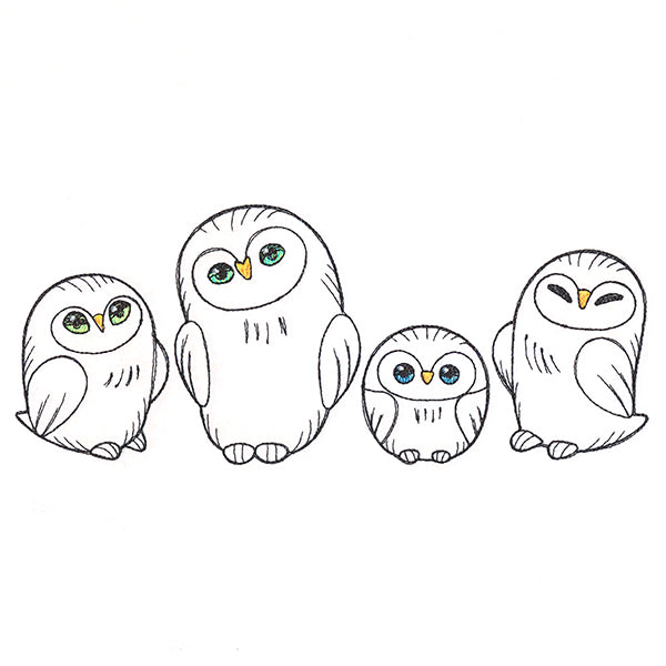 Charming Owl Border