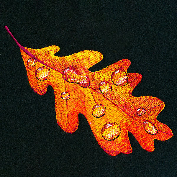 Early Morning Dew Drops Oak Leaf