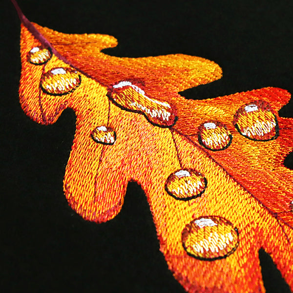 Early Morning Dew Drops Oak Leaf