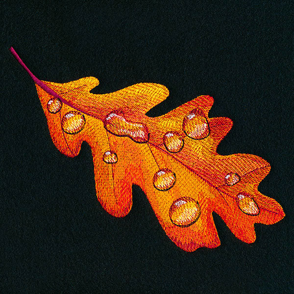 Early Morning Dew Drops Oak Leaf