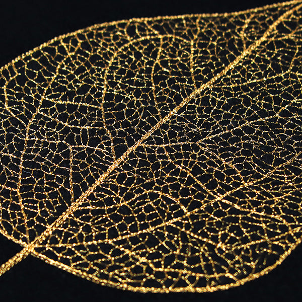Sensational Skeleton Leaf