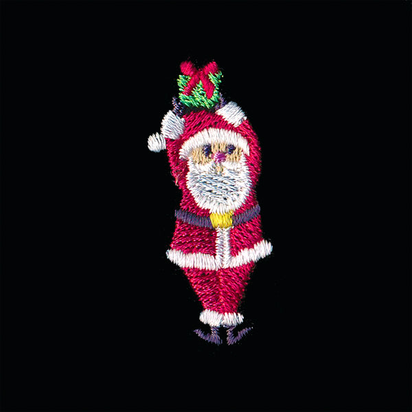 Magical Christmas Friends - Santa