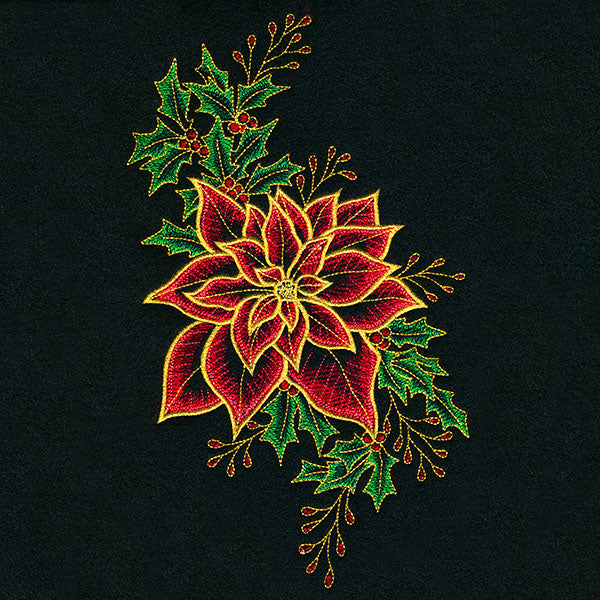 Midnight Poinsettia Blooms