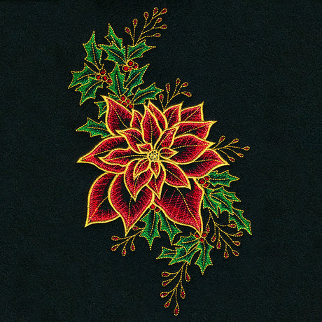 Midnight Poinsettia Blooms