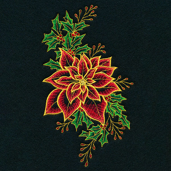 Midnight Poinsettia Blooms