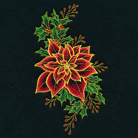 Midnight Poinsettia Blooms