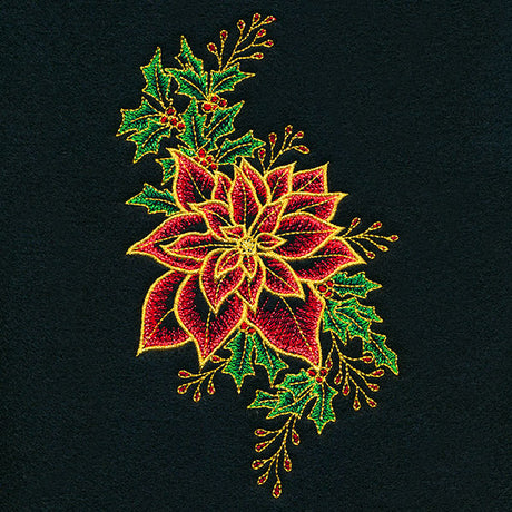 Midnight Poinsettia Blooms