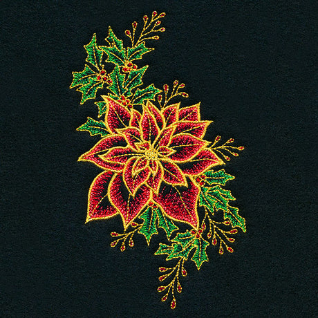 Midnight Poinsettia Blooms