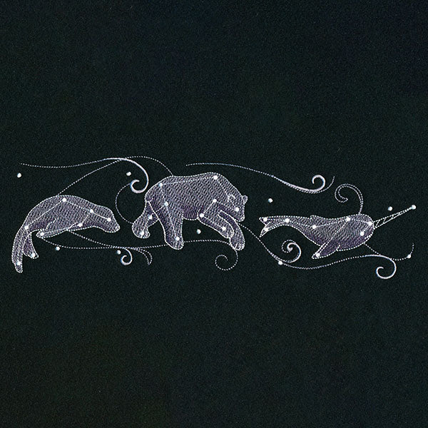 Wild Celestial Border