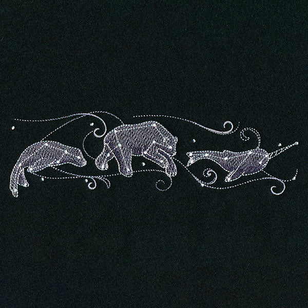 Wild Celestial Border