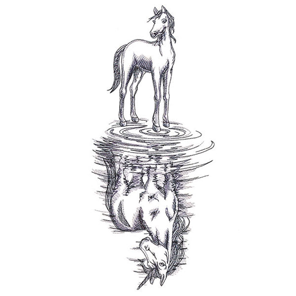 Unicorn Reflection