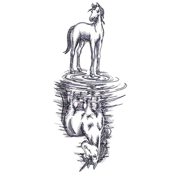 Unicorn Reflection