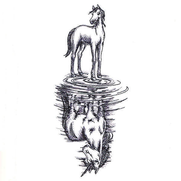 Unicorn Reflection